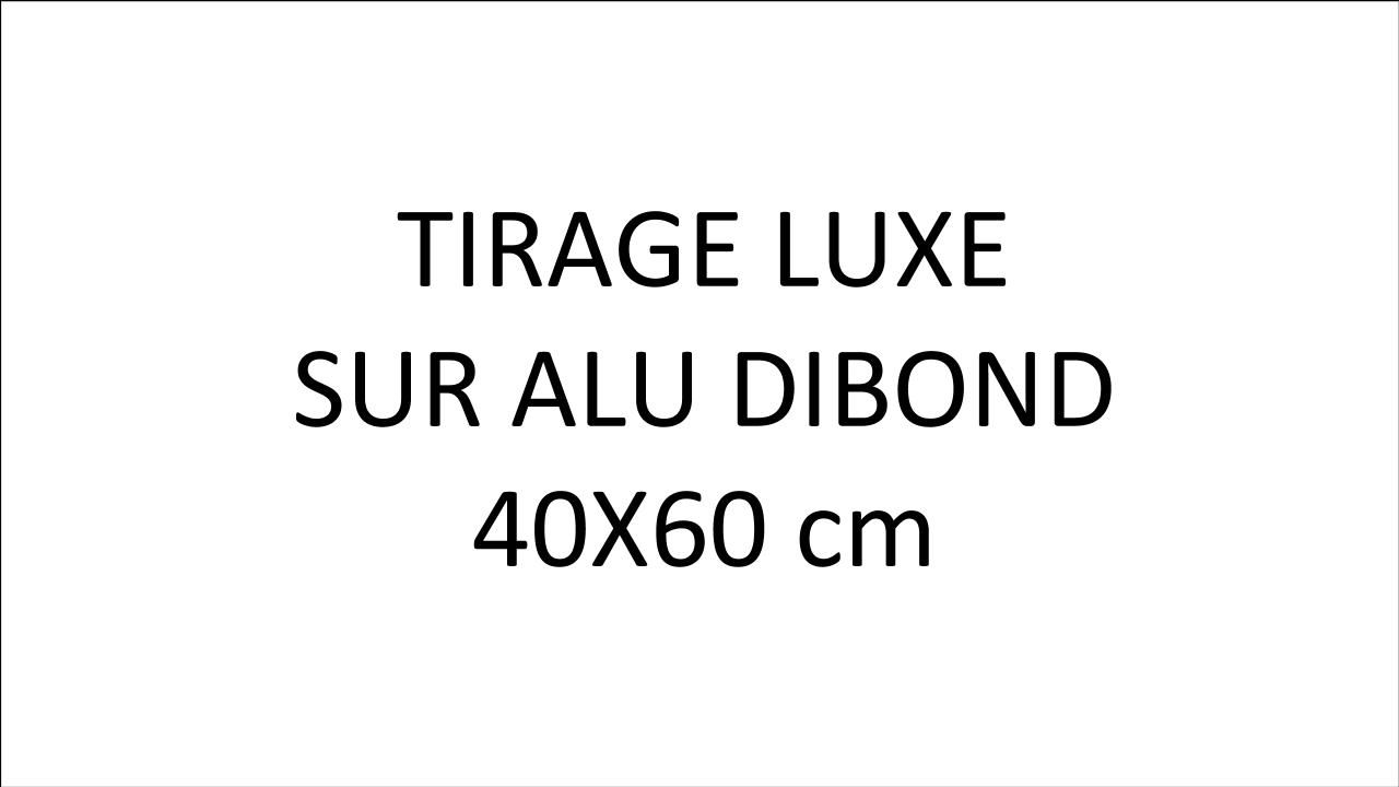 Tirage Alu Dibond 60 x 40 cm (OFFRE SPECIALE : 3 TIRAGES au choix 440 euros)