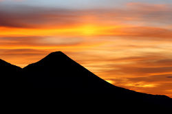 Alexandre Peplaw Photographe