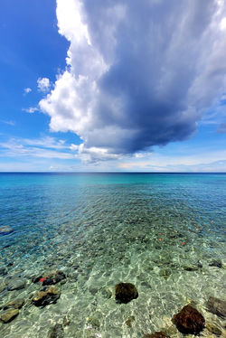 Alexandre Peplaw Photographe