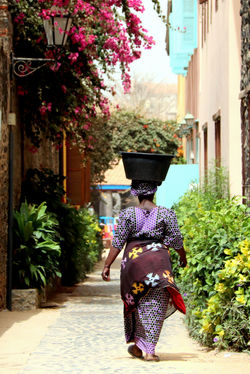 Alexandre Peplaw Photographe