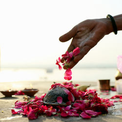 Alexandre Peplaw Photographe