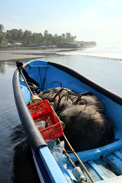 Alexandre Peplaw Photographe