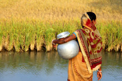 Alexandre Peplaw Photographe