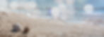 AdobeStock_317175957.jpeg