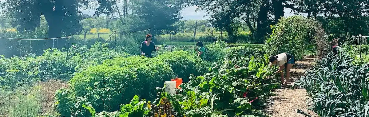 Garden at Boone Prairie Farm