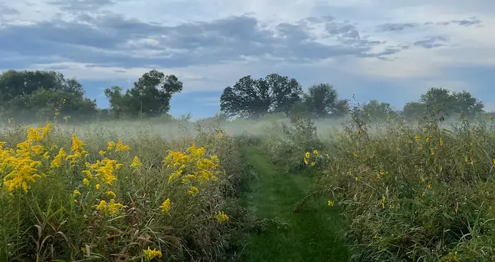 Prairie Views at Boone Prairie Farm