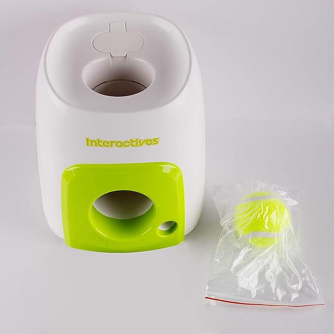 Miniature : Jouet pour chien Interactives Fetch'n Treat All For Paws