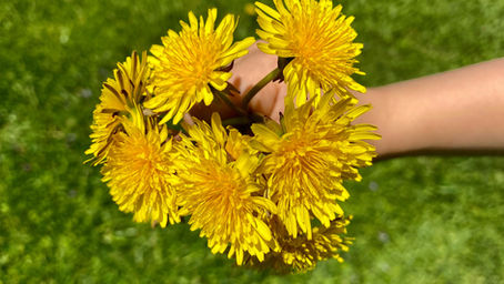 Faith grows like wildflowers thriving in all conditions