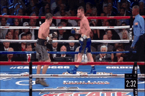 kidney punch.gif