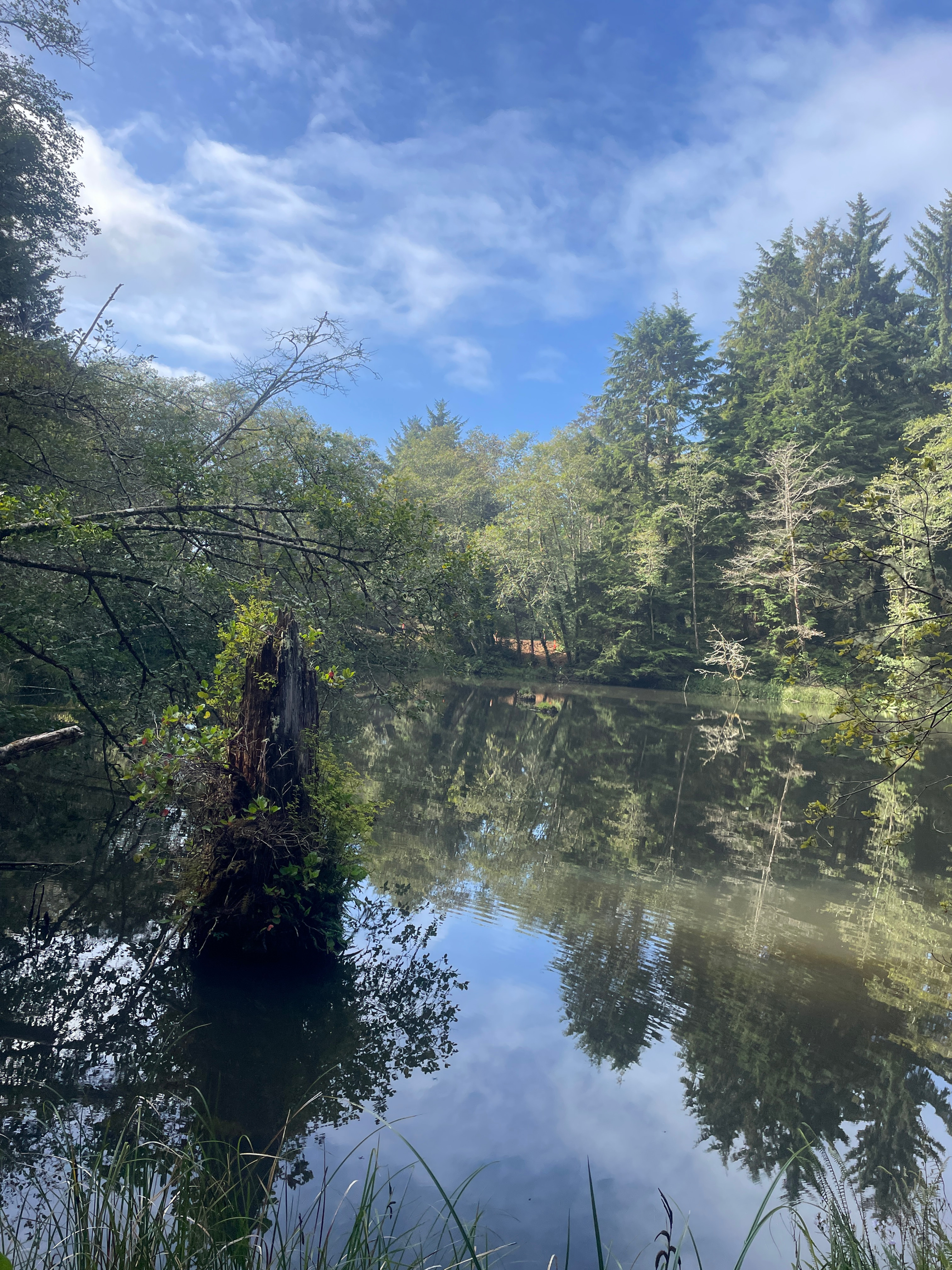 Spring Lake Kc Spring Lake | LincolnCityParks&Rec