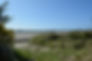 Vegetation with Siletz Bay in background