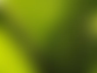 Have we ever needed Palm Sunday more?