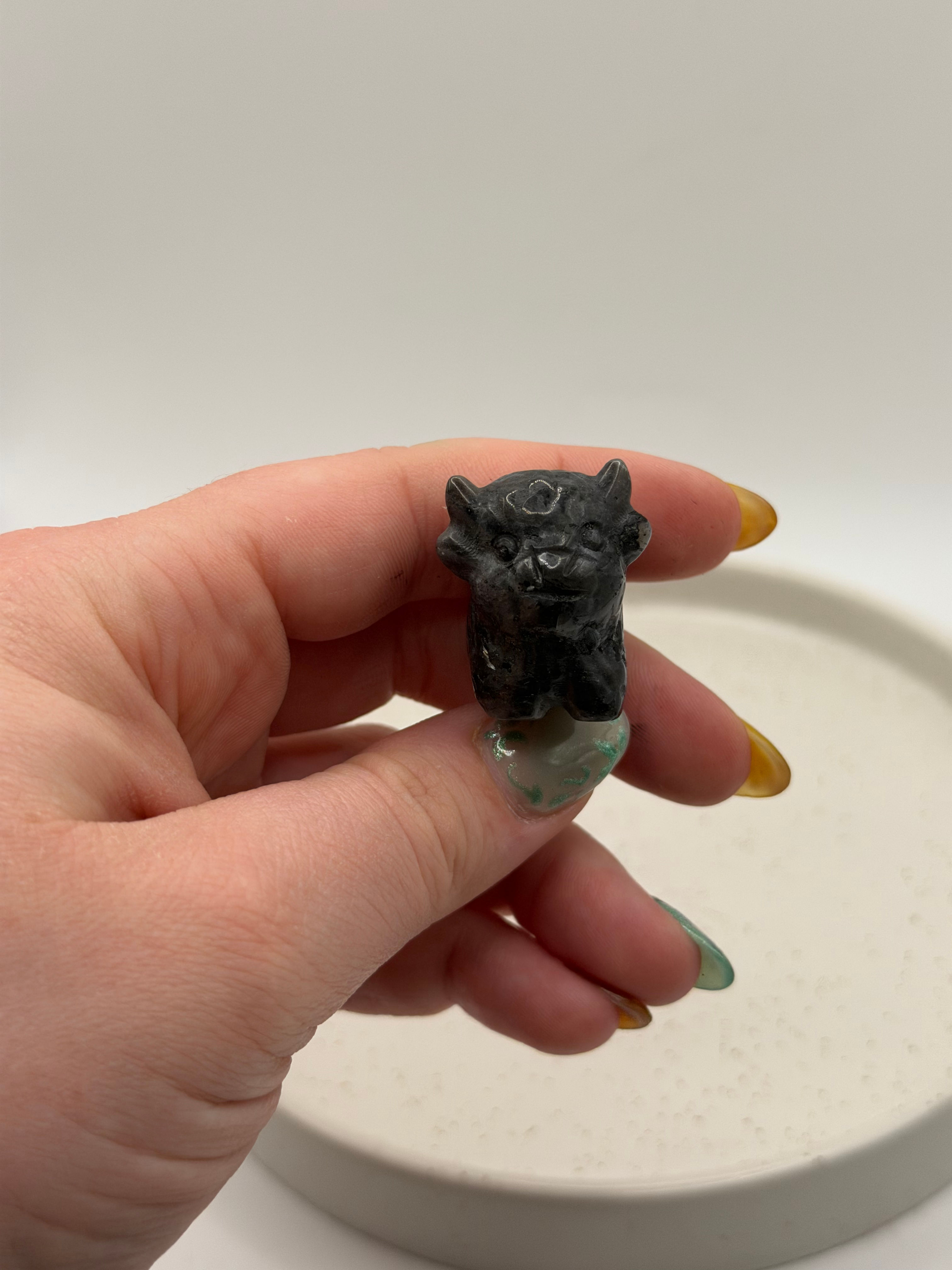 Mini highland cow - Que sera