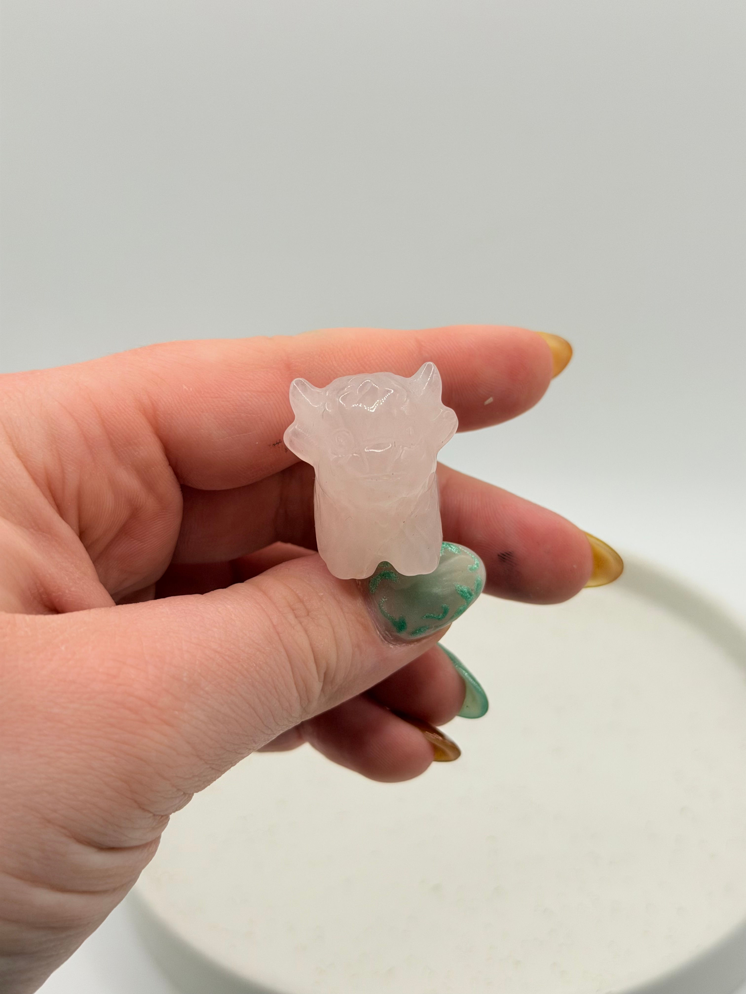 Mini highland cow - Rozekwarts