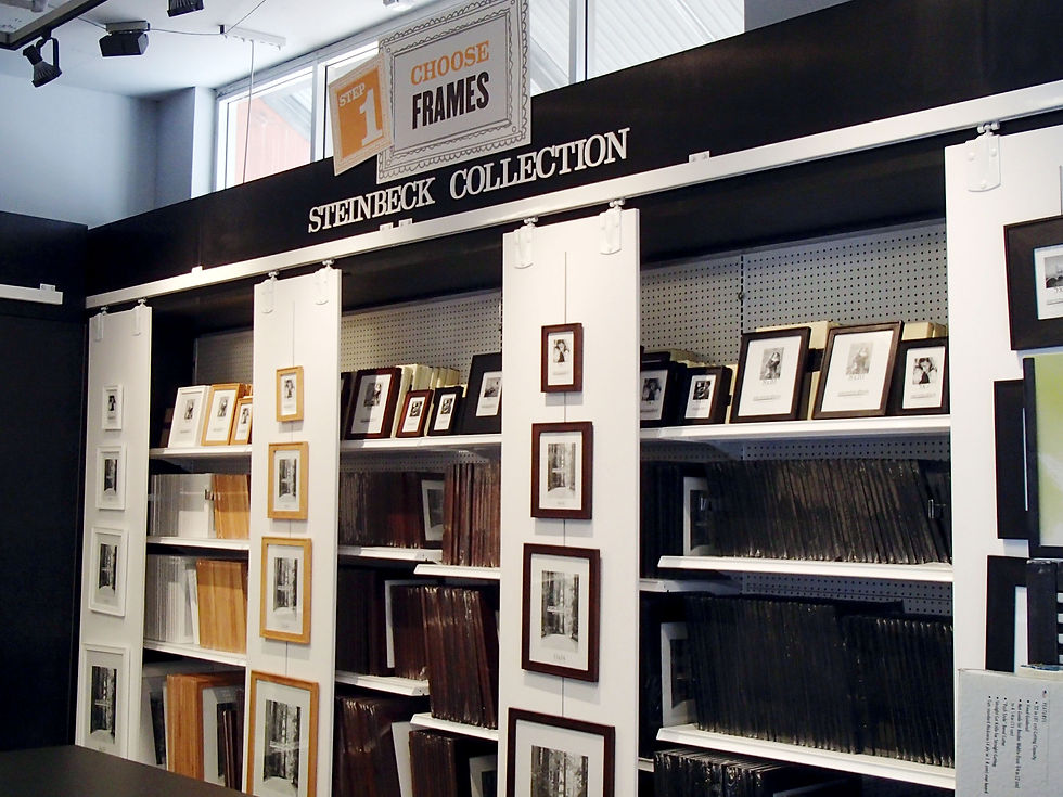 FRAME SELECTION