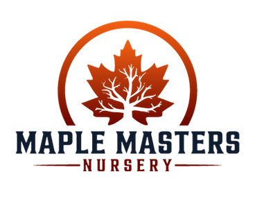 Japanese Maple Tree Nursery