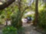 P1180725.jpeg