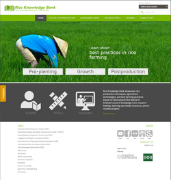 Rice Knowledge Bank