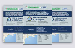 GSM-Fuji LLC logo and one-page flyer