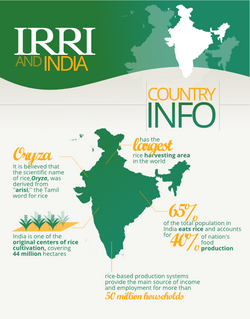 IRRI and India infographic