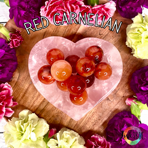 red carnelian wix.png