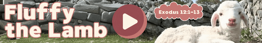 Copy of Fluffy the Lamb Sermon Intro Video.gif