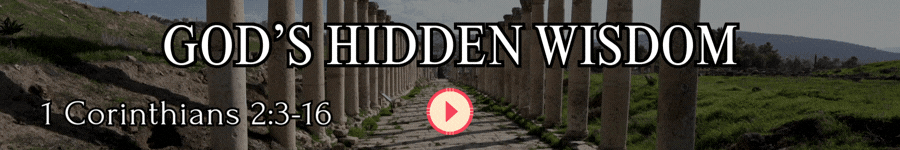 Gods Hidden Wisdom.gif