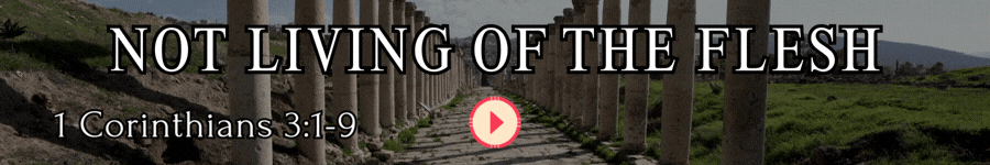 NOT LIVING OF THE FLESH.gif