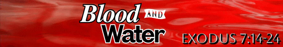 Notes 2 (900 x 150 px).gif