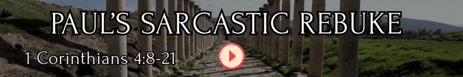 PAULS SARCASTIC REBUKE.gif