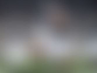 Tyler Warren front and center in Penn State's playoff push