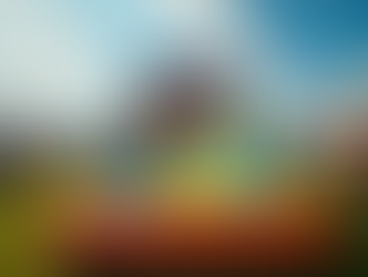 How to Choose the Perfect Inflatable for Any Event