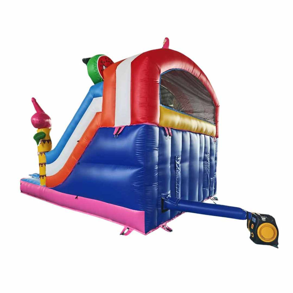 Flamingo Falls Water Slide Bouncing Castle