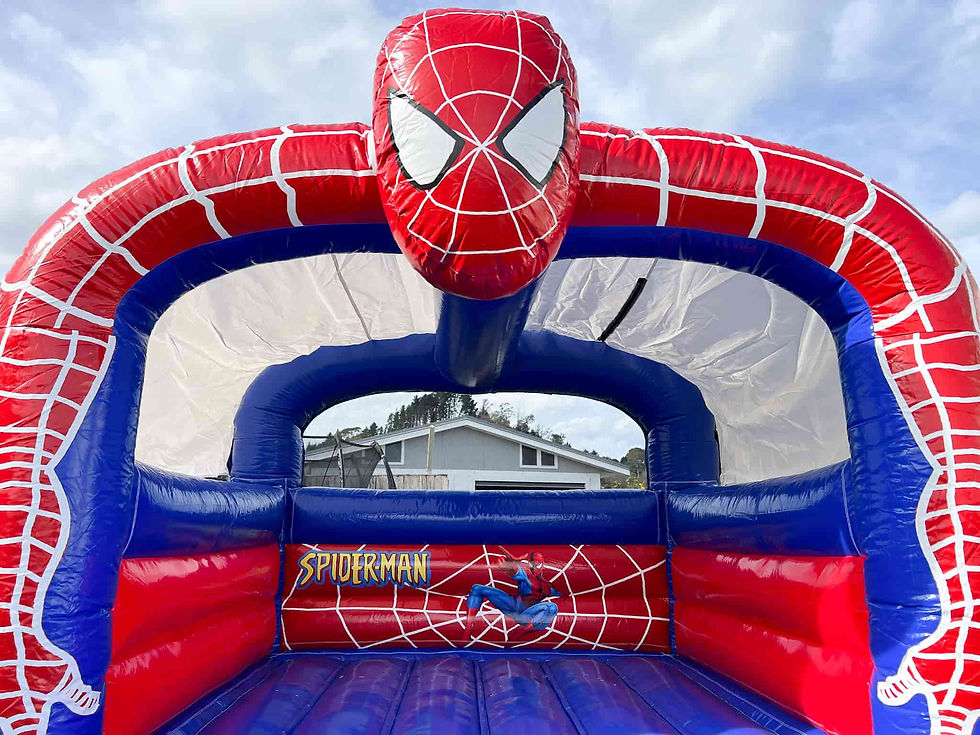 Spiderman Bouncy Castle, bounce house