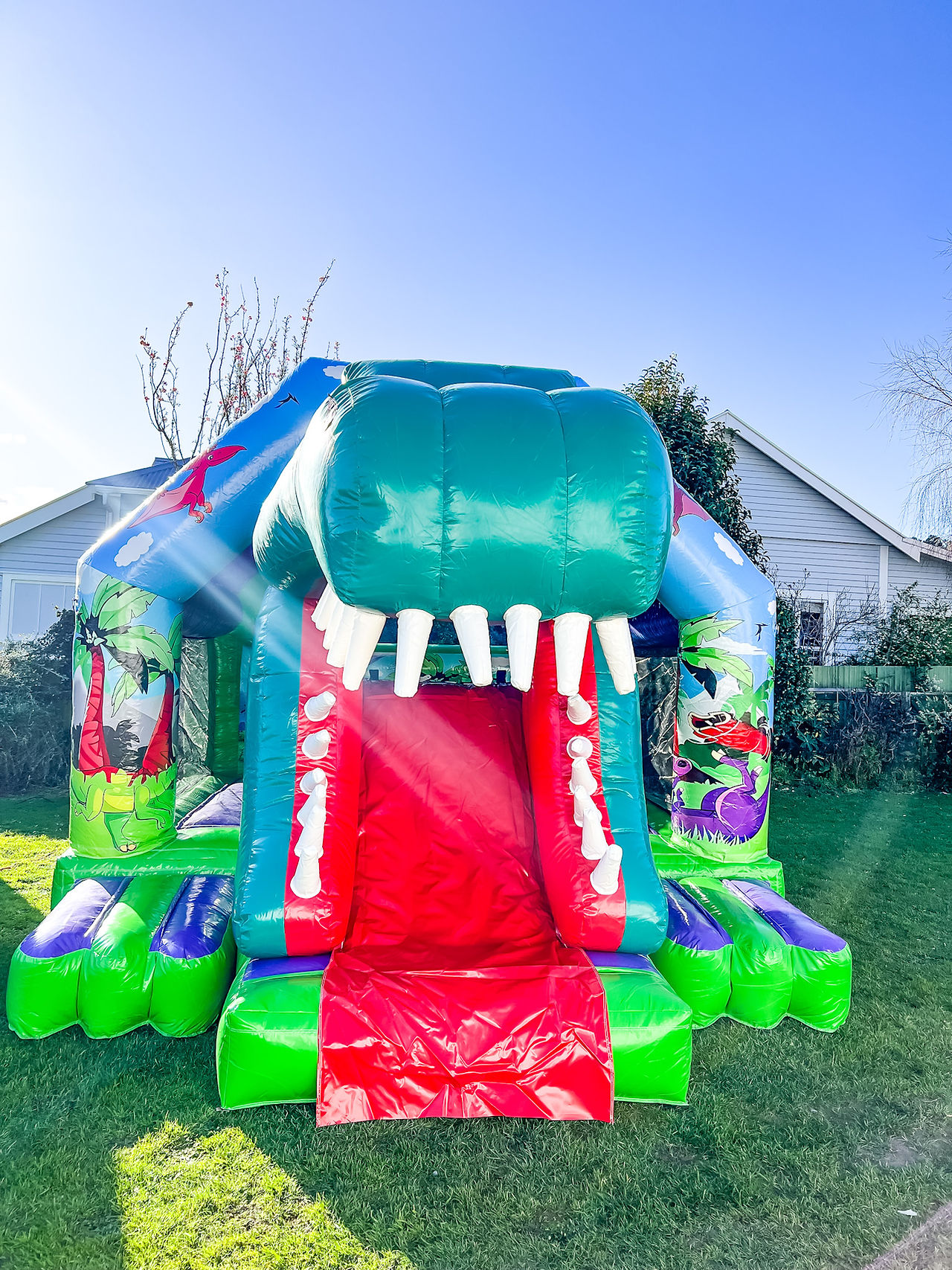 Rawrsome Bouncy Castle, Bouncing Castles Gisborne