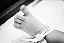 South Florida Photographer