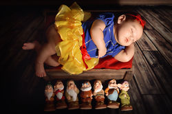 South Florida Photograhper