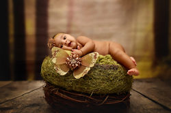 South Florida Photograhper