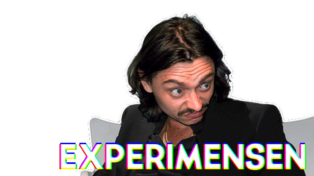 Experimensen
