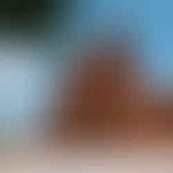 Wide-angle view of the historic Roskilde Cathedral, a UNESCO World Heritage site and a stunning backdrop for wedding photography in Denmark.