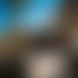 COPENHAGEN CITY HALL ELOPEMENT