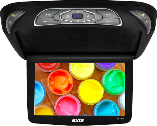 Roof mounted DVD players