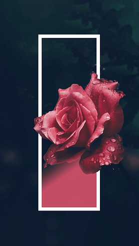 2019-06-08.png