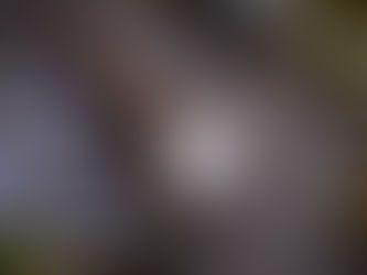 0243. Fairy Weave Pendant