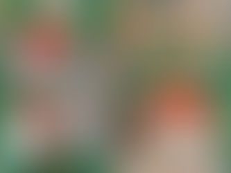 Weihnachtliche Deko basteln