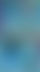 Die 4a verabschiedet sich in die Semesterferien ...