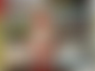 Der Nikolaus besuchte die 4a...