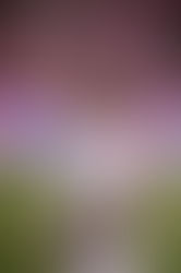 Football transfer news Liverpool, Man City, Tottenham, Real Madrid, Chelsea, Arsenal  