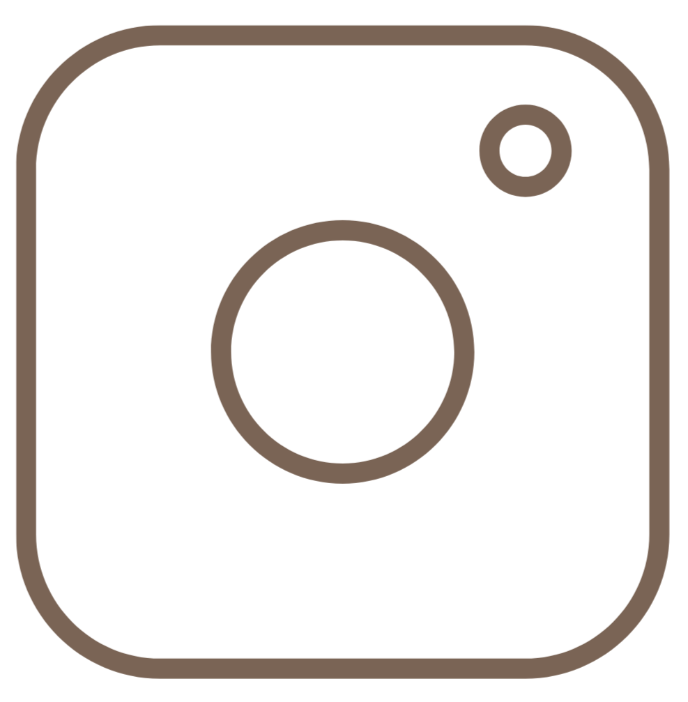 instagram icon
