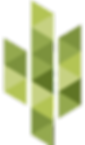 Abstract green geometric logo